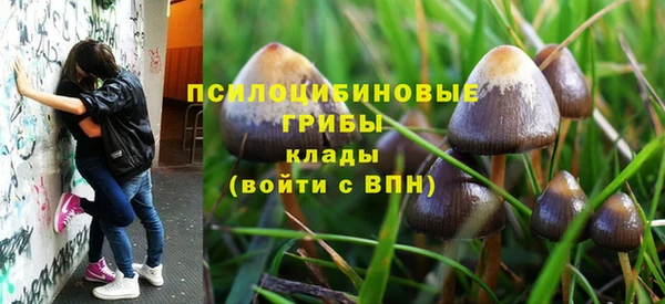 spice Верея